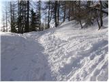 Planina Zajavornik - Mrežce